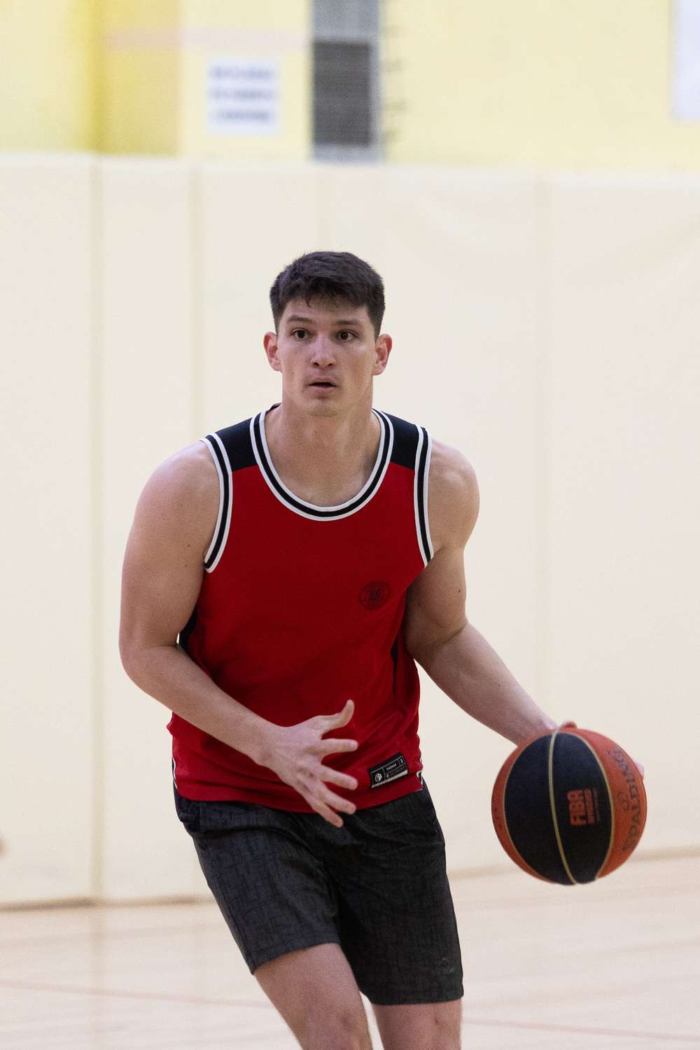 Lovre Topić